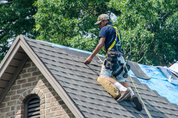 Professional Roofing Contractor in Dacula, GA